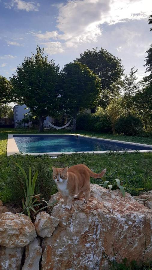 Mas Notre-Dame, Adult Only, Situation Ideale, Grand Jardin Paisible Grospierres Εξωτερικό φωτογραφία